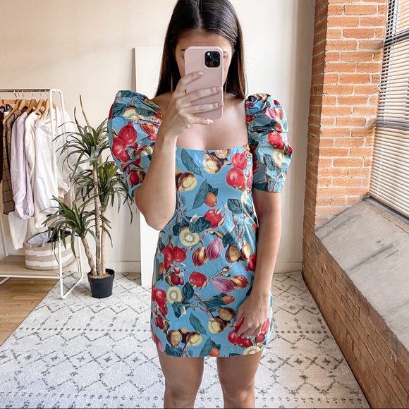 Cara Cara Dresses & Skirts - Cara Cara Kelly Fruit-Print Puff-Sleeve Mini Dress Blue